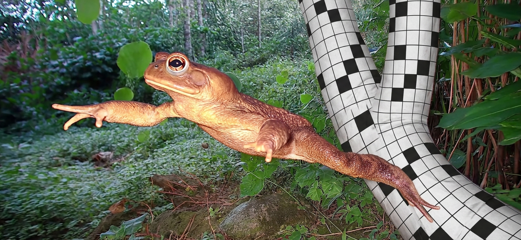 Мини-кроссворд № 90: про конти­ненты — Южная Америка