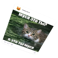 Обложка статьи