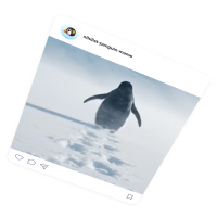 Обложка статьи