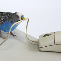 Обложка статьи