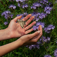 Обложка статьи