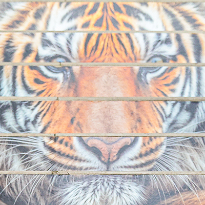 Обложка статьи