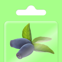 Обложка статьи