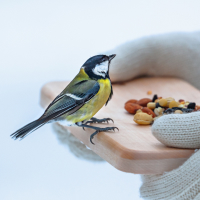 Обложка статьи