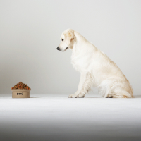 Обложка статьи