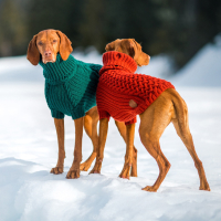 Обложка статьи