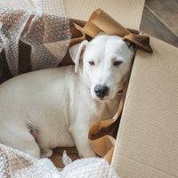 Обложка статьи