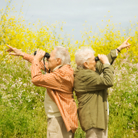Обложка статьи