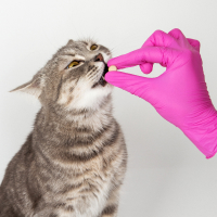 Обложка статьи