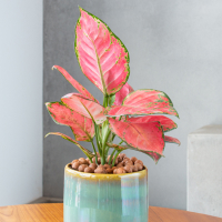 Обложка статьи