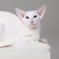 Обложка статьи