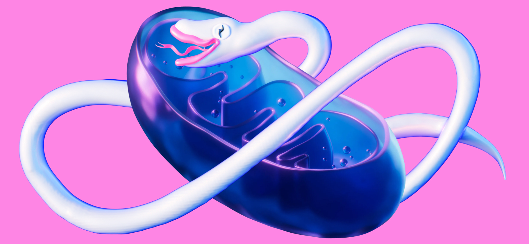 Что такое митохон­дриальная дисфунк­ция и правда ли​ она вызывает болезни и старение?