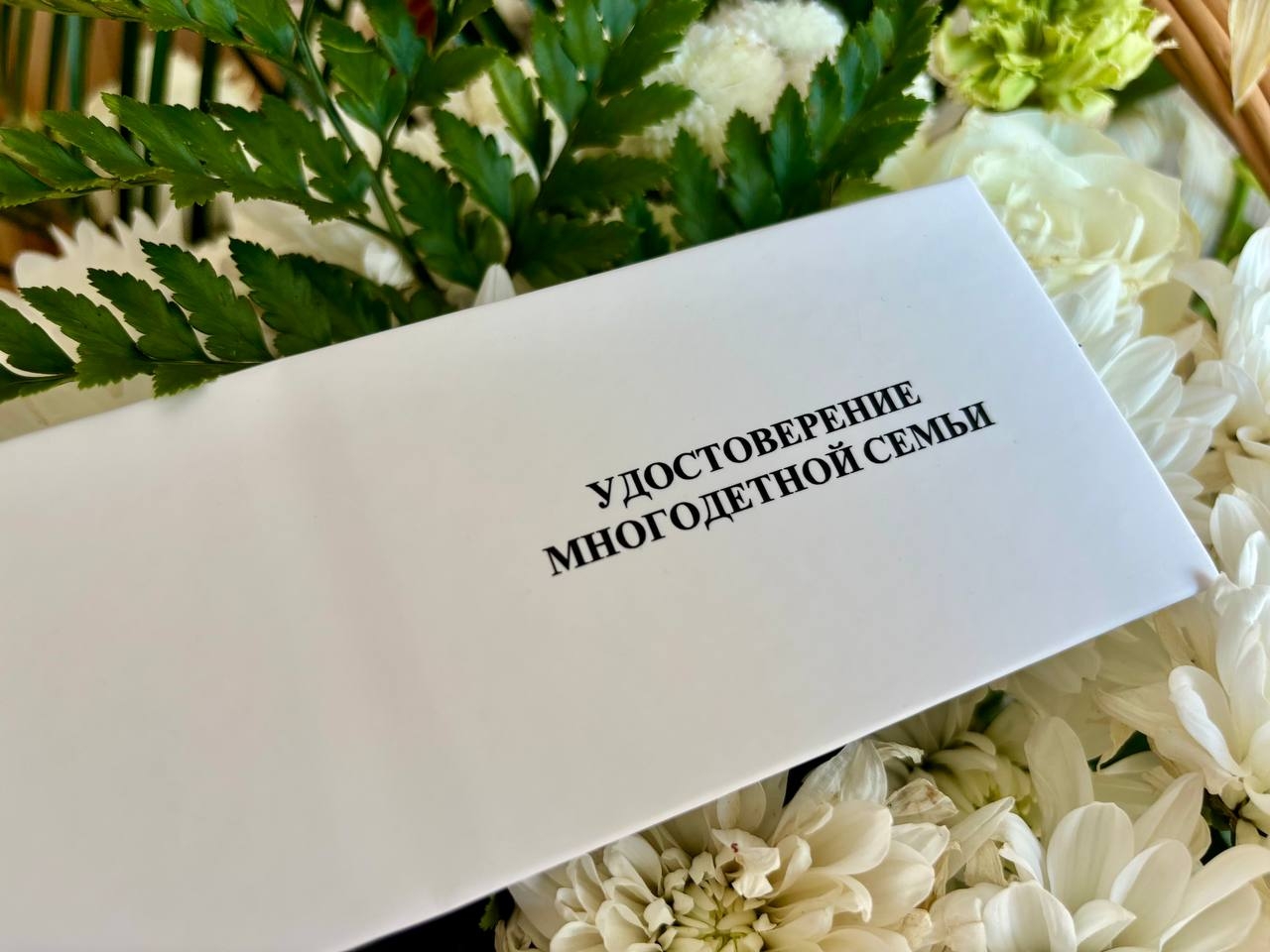 Обложка удостоверения многодетной семьи нового образца. Источник: vk.com