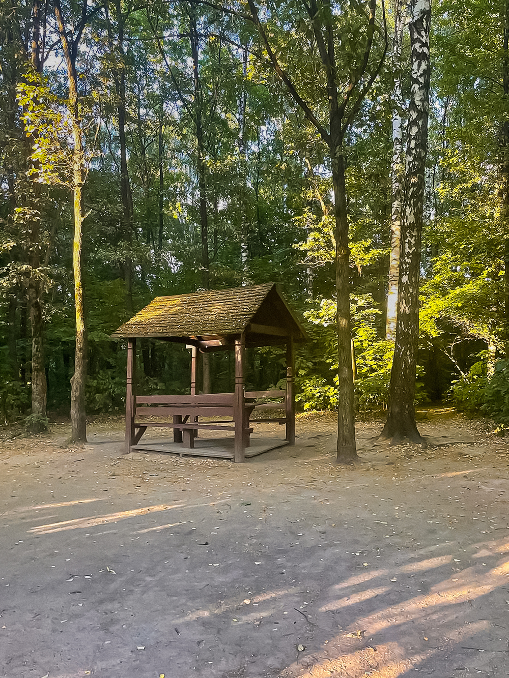 В Митинском лесопарке можно погулять и остановиться на отдых в беседке