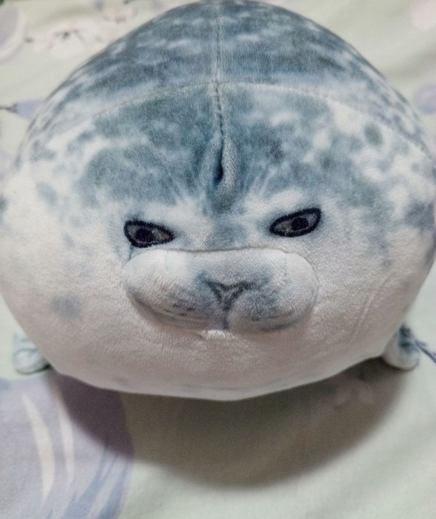 «Битва экстрасенсов», лечение зубов и кока-кола без сахара: мои итоги 2025 года