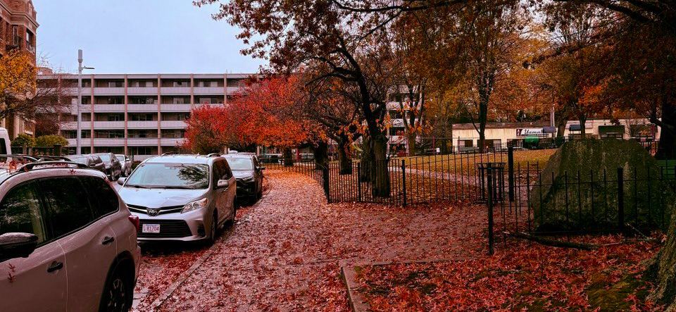 Много работы, похудение и одиночество: мои итоги 2025 года