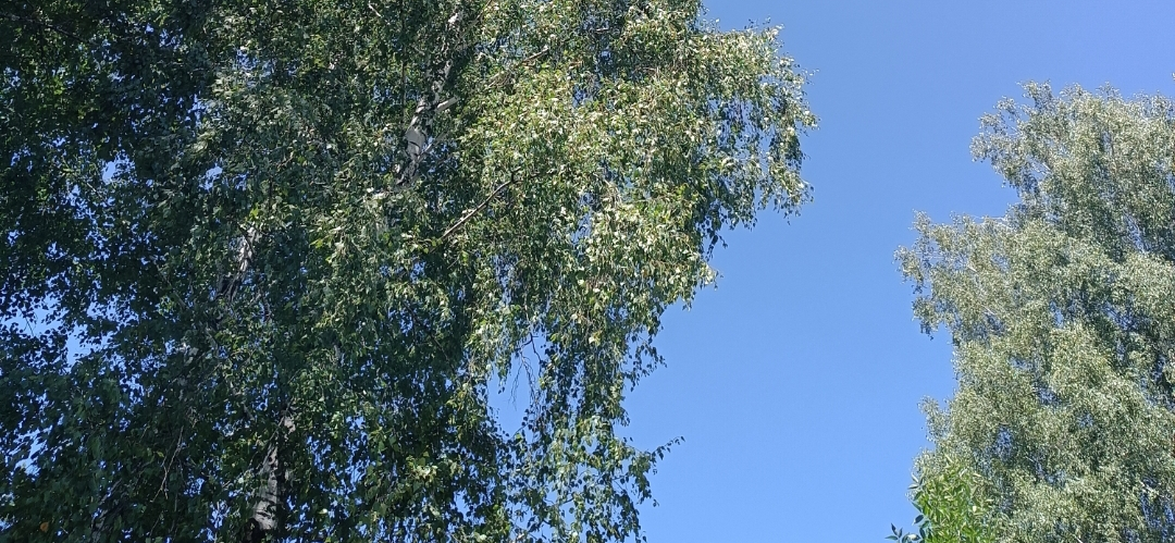 Вклады, кондиционер и пицца: мои итоги 2025 года