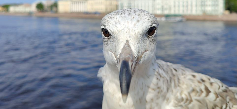 Папа, мама и машина: мои итоги 2025 года