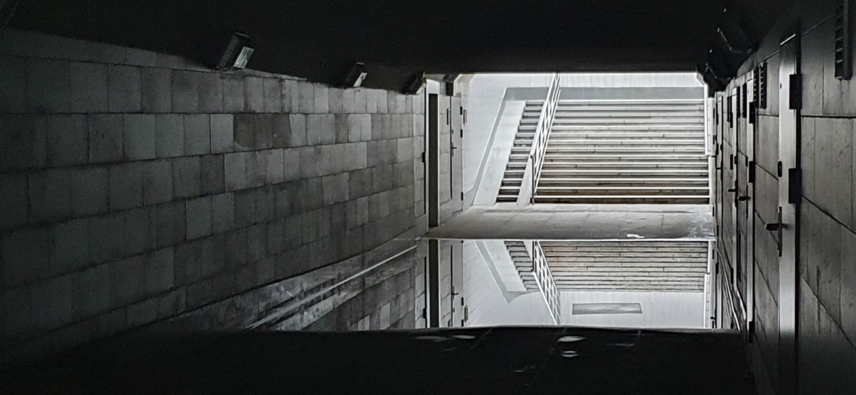 Увольнение, попытка найти новую работу и косметический ремонт: мои итоги 2025 года