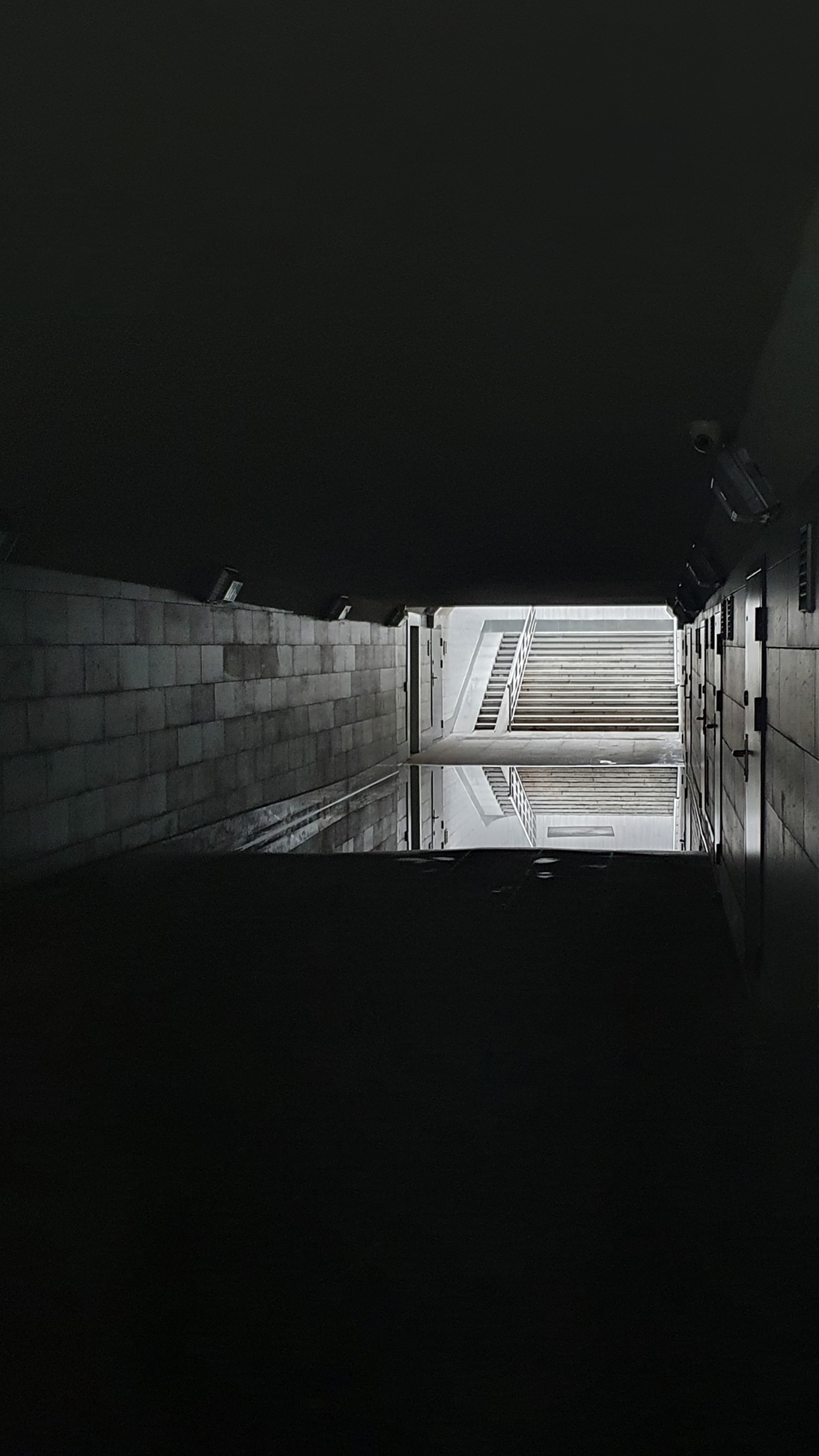 Фотографии года