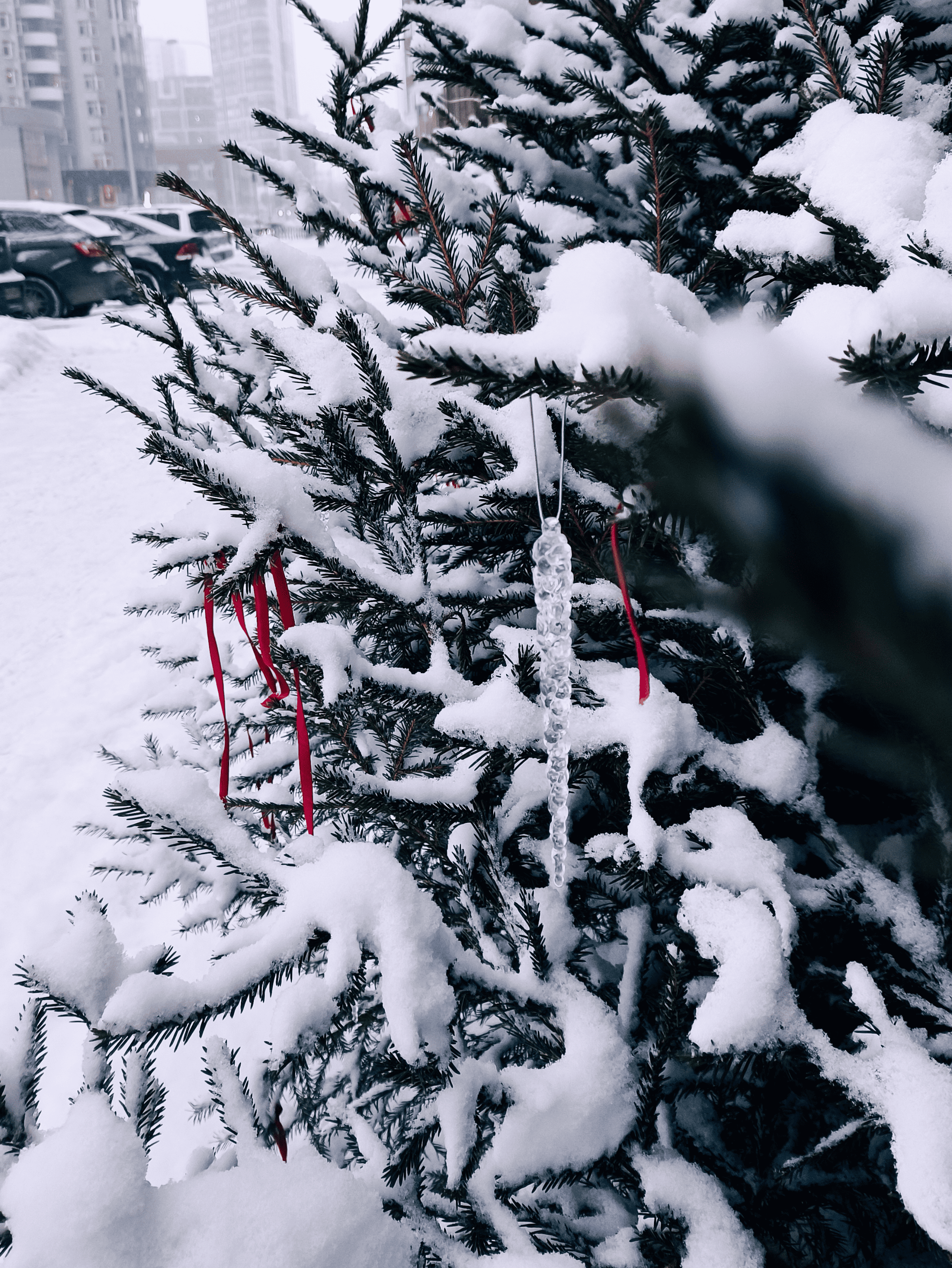 Фотографии года