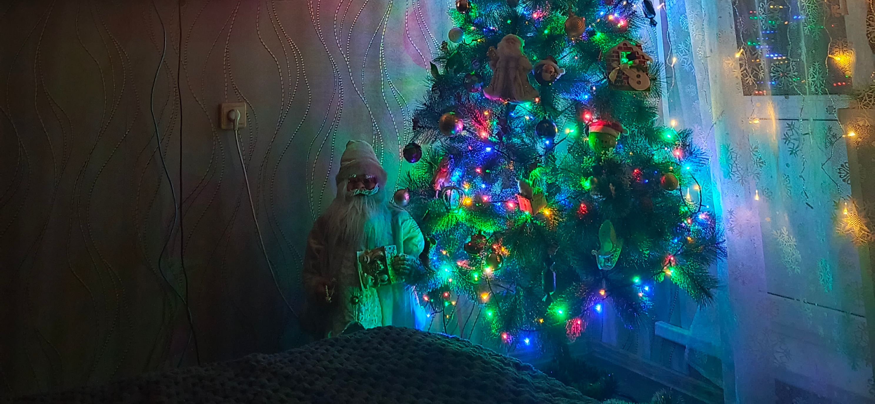 Инвестиция в подвального котенка и кровать с матрасом: мои итоги 2025 года