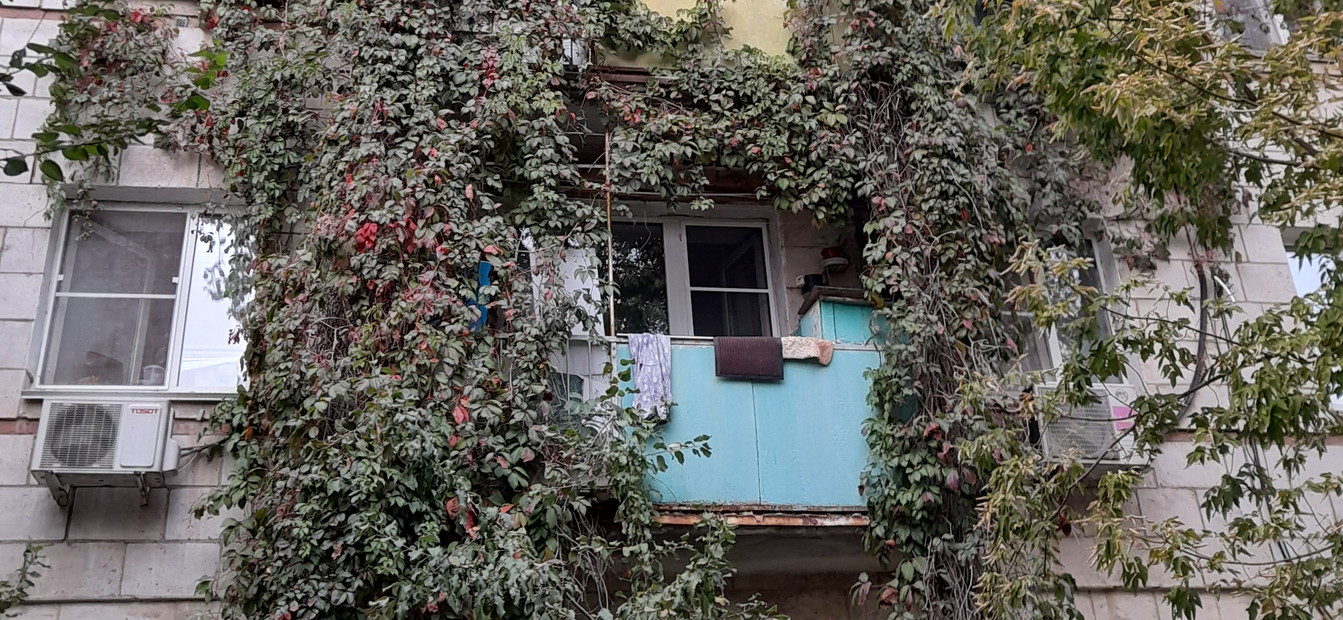 Новый шкаф, продажа гаража и варенье из актинидии: мои итоги 2025 года