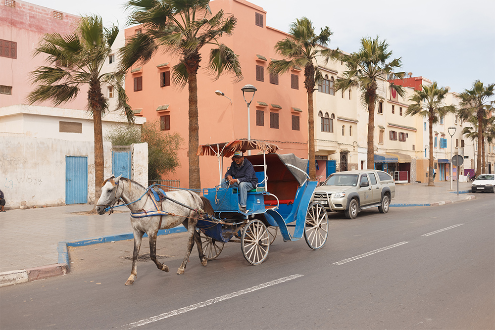 Кроме такси в Марокко есть повозки, запряженные лошадьми