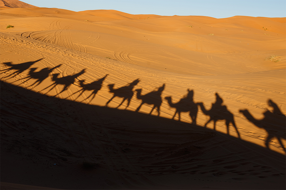 Караван верблюдов в пустыне Сахара