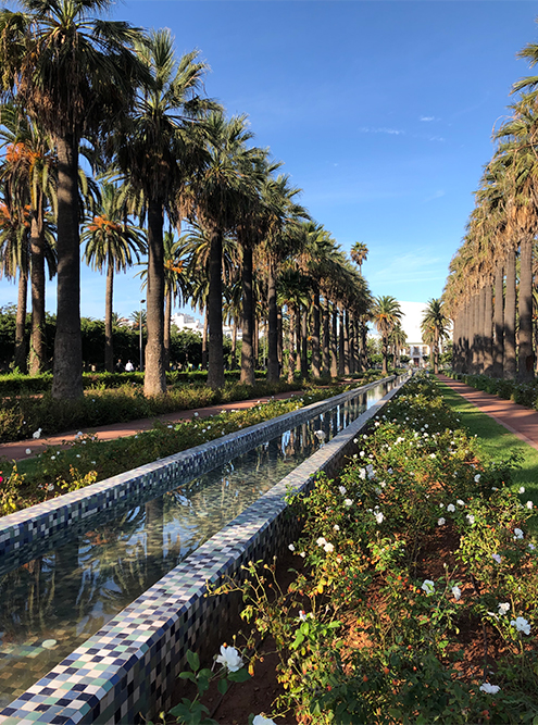 В Касабланке классно прогуляться по современным деловым кварталам: там есть парки, пальмовые аллеи, новые дома. Можно посмотреть, как живут богатые марокканцы
