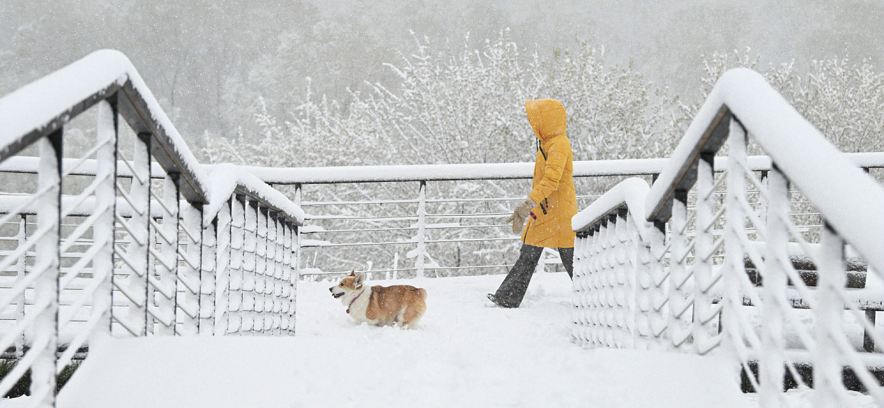 В Москве из-за снегопада ограничили проход в парки
