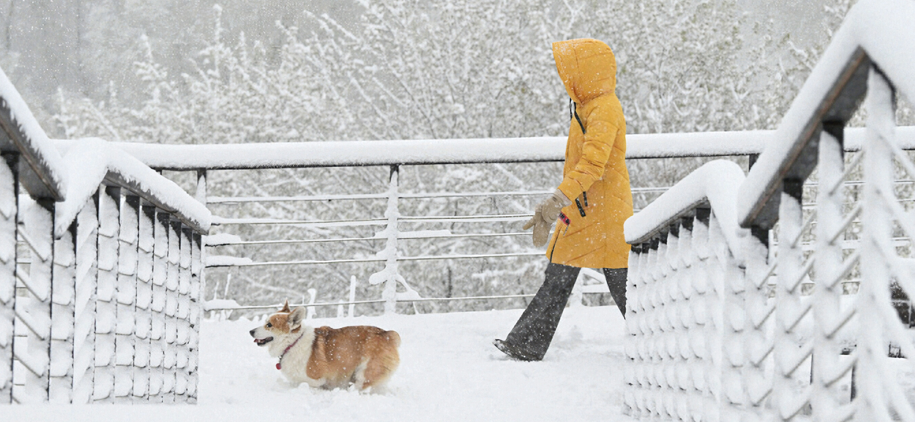 В Москве из-за снегопада ограничили проход в парки