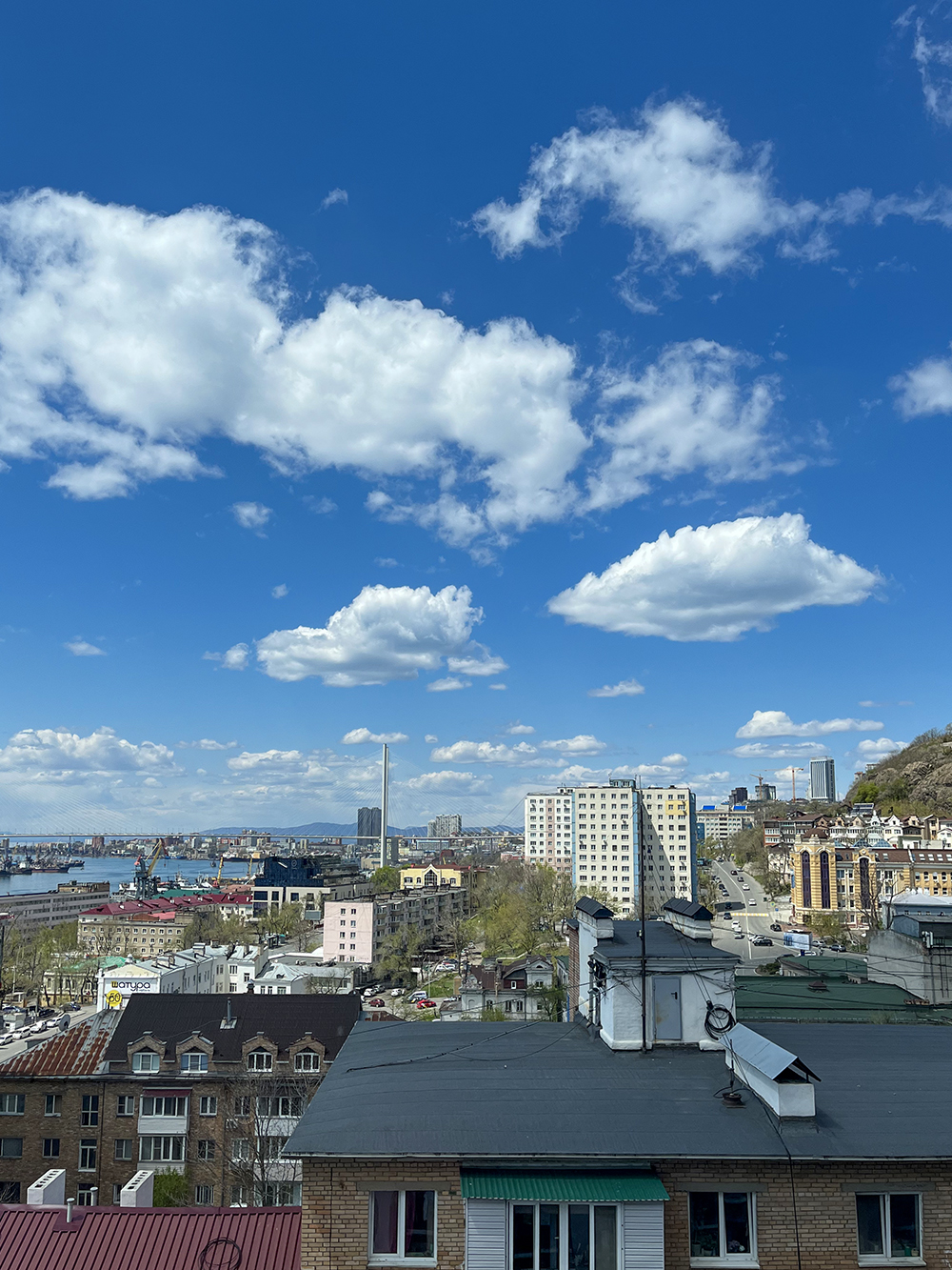 Вид из окна квартиры во Владивостоке на Золотой мост