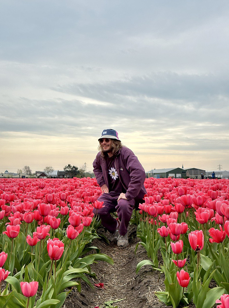 В Нидерландах тюльпаны цветут с середины марта по середину мая