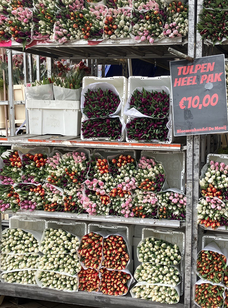 Три раза в неделю на главную площадь Гронингена приезжает фермерский рынок. Там можно купить овощи, фрукты, мясо, сыры, специи и цветы охапками