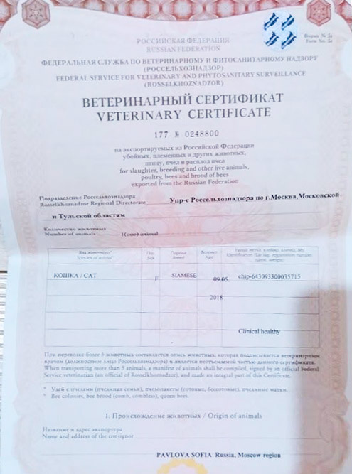 Чипирование подтверждал ветеринарный сертификат