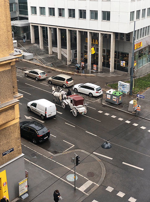 Под моим окном каждый день проезжают кареты в направлении старого центра. Типичная Вена
