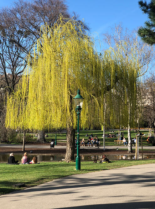 Весной все сидят в парках, которых в Вене много
