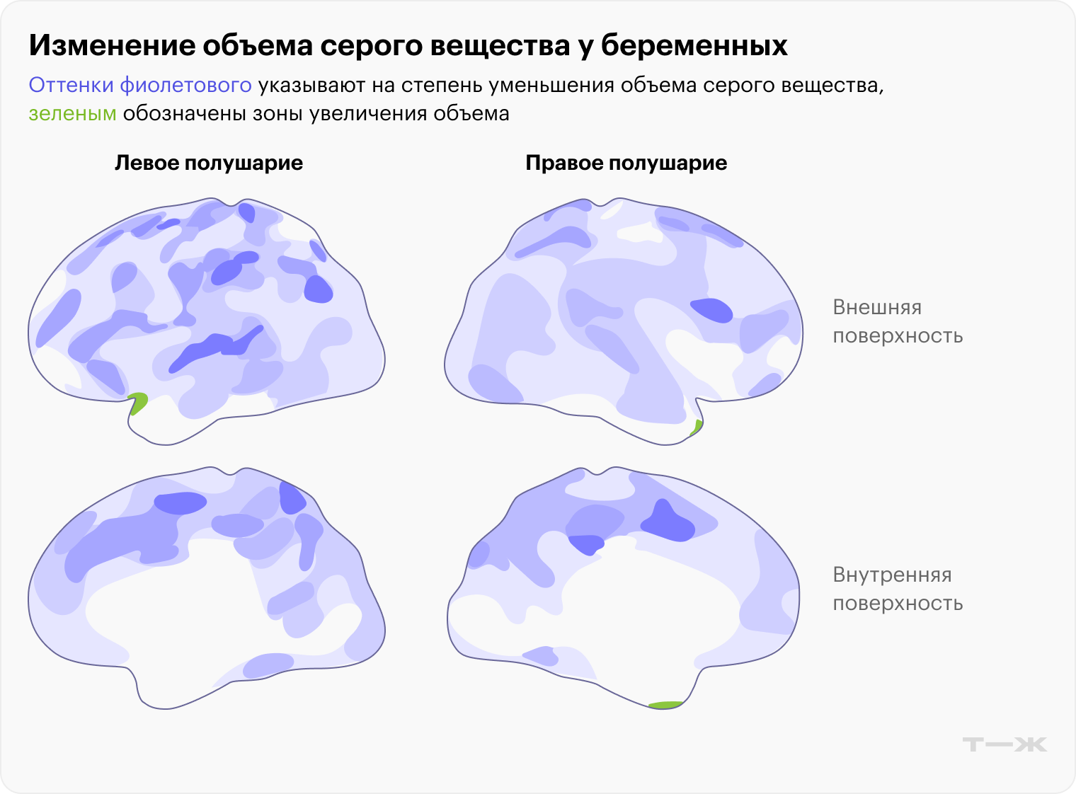 Источник: nature.com