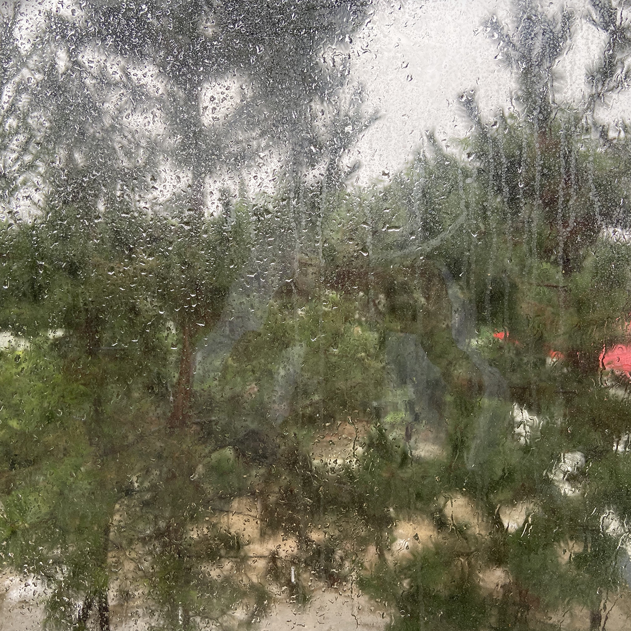 Тайфун добрался до Яньтая. Около двух дней постоянно лил сильный дождь. А утром в день вылета я заметила, что вода попала в комнату и залила весь столик