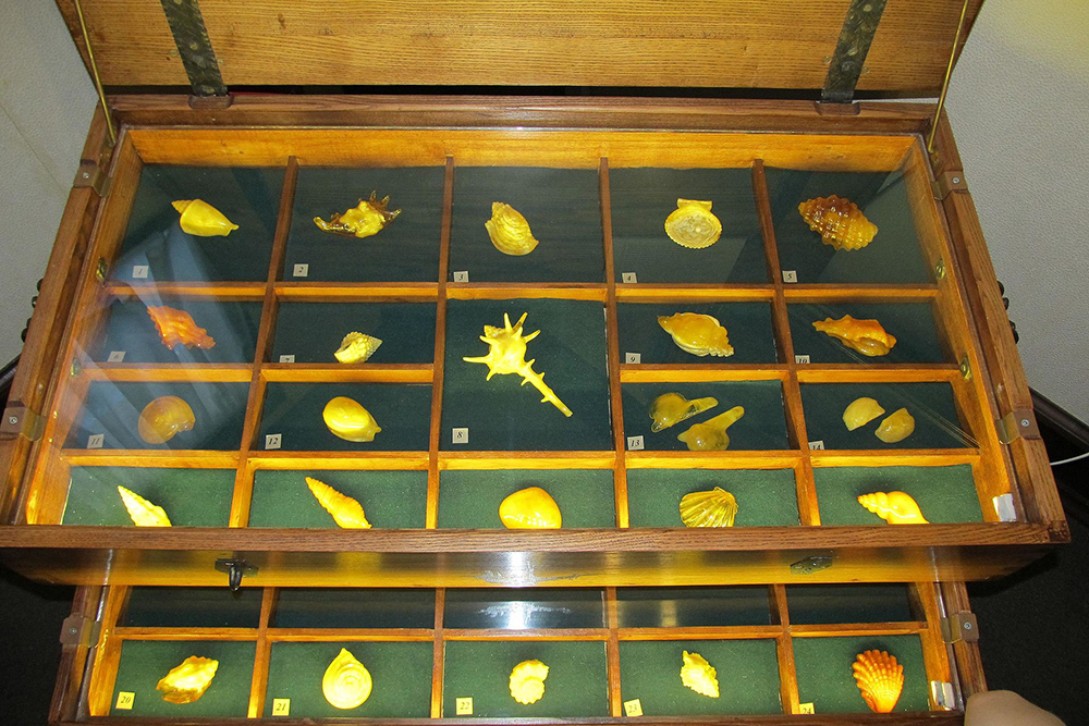 Экспонаты из янтаря. Источник: wikimedia.org