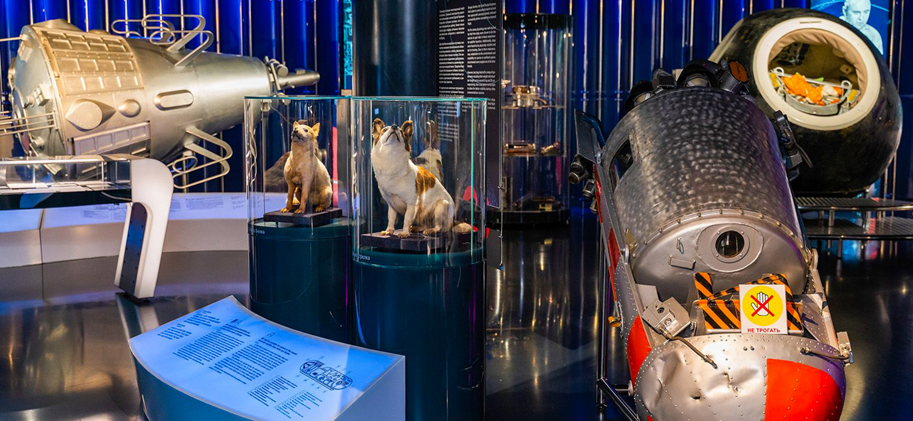 В Москве стартовала Музейная неделя: можно бесплатно сходить в Музей Пушкина и Музей космонавтики