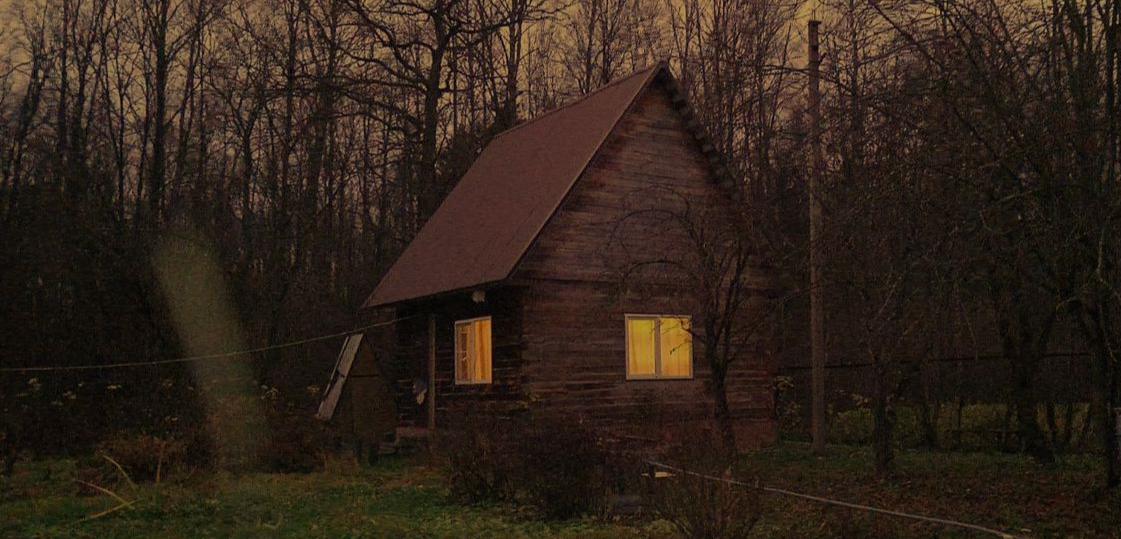 Как я сошла с ума от любви к даче, сформировала картотеку семян и написала цикл стихотворений