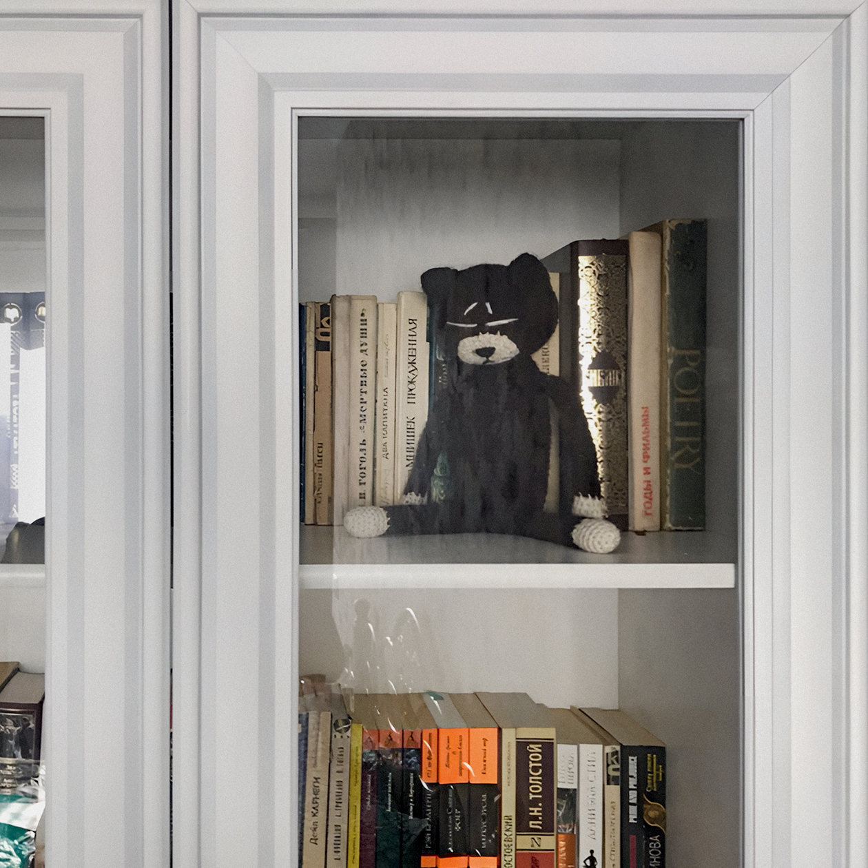 Подруга назвала кота Кузей и поселила его жить в книжный шкаф