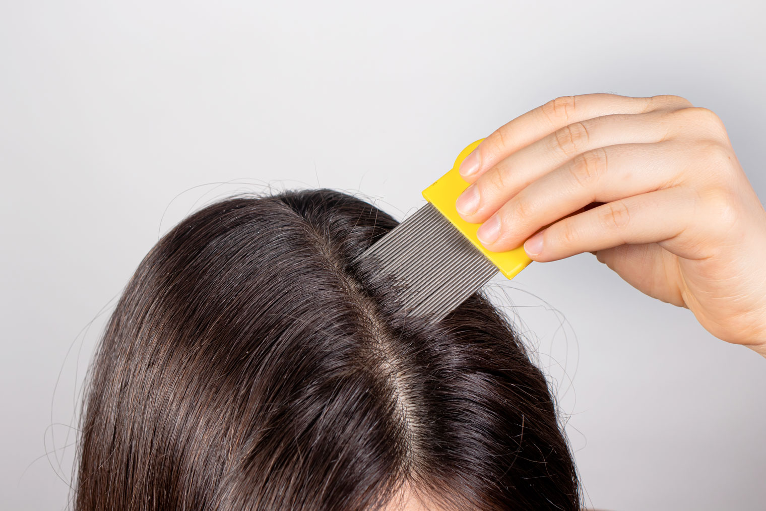 Убивает ли краска для волос вшей и гнид — проверенная информация | Паранит