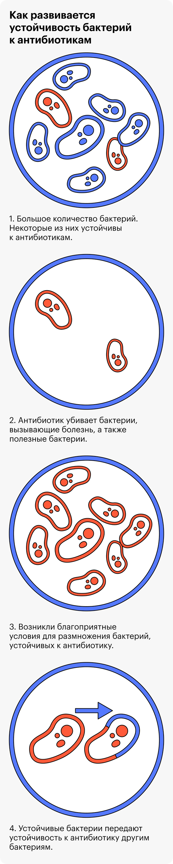 Мифы про антибиотики: зачем назначают, вредны ли для организма, опасны ли  для детей