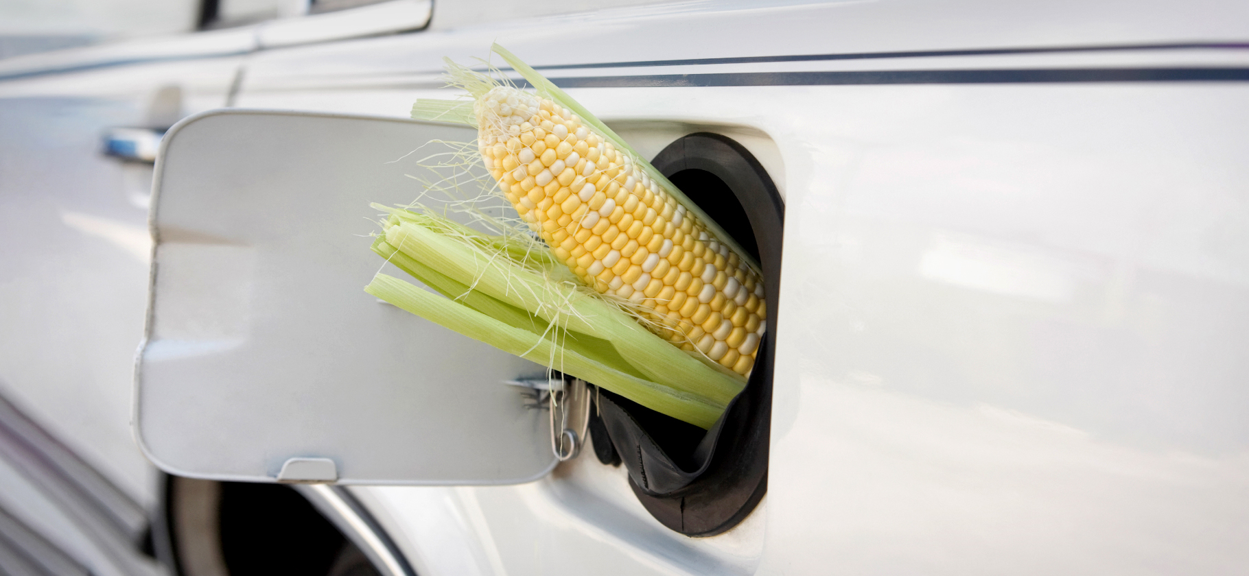 «На сиденьях рас­сыпан картофель фри»: 5 стран­ных находок в автомо­билях карше­ринга