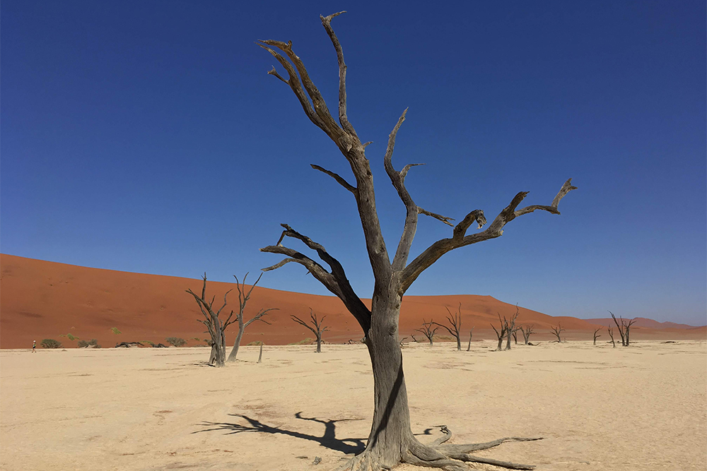 Мертвая долина в пустыне Намиб