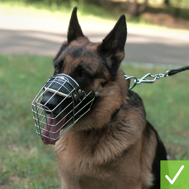 Кожаные ремешки и подкладка не травмируют морду собаки. Источник: magizoo.ru