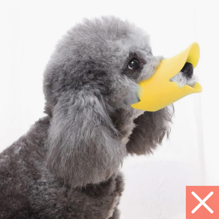 А вот популярные силиконовые намордники в виде клюва утки небезопасны: в нем собака не может открывать пасть. Источник: ozon.ru